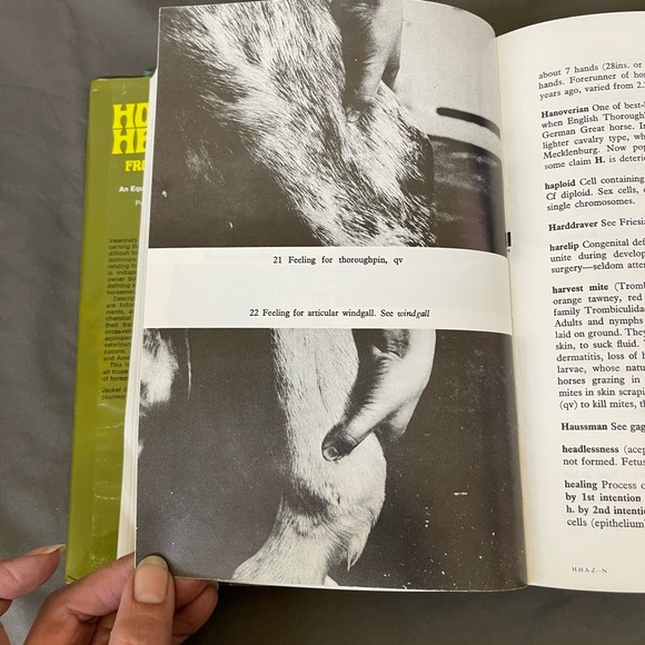 The Horse’s Health From A to Z An Equine Veterinary Dictionary 1978 - Picture 12 of 16